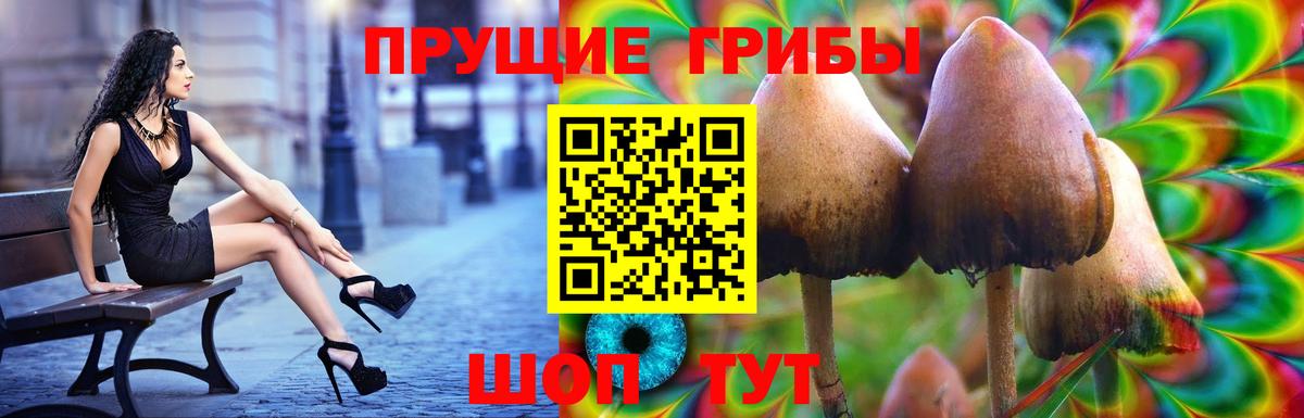 Уварово  Псилоцибиновые грибы мицелий  Вход с VPN 